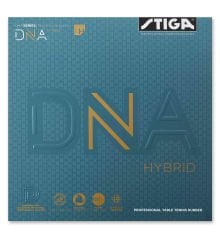 DNA Hybrid H