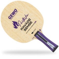 GEWO Prithika Pavade Sense All+