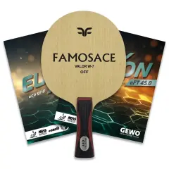 FAMOSACE Valor W7 + GEWO Elaxxon eFT 45 Kombo