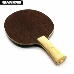 SANWEİ Dynamo
