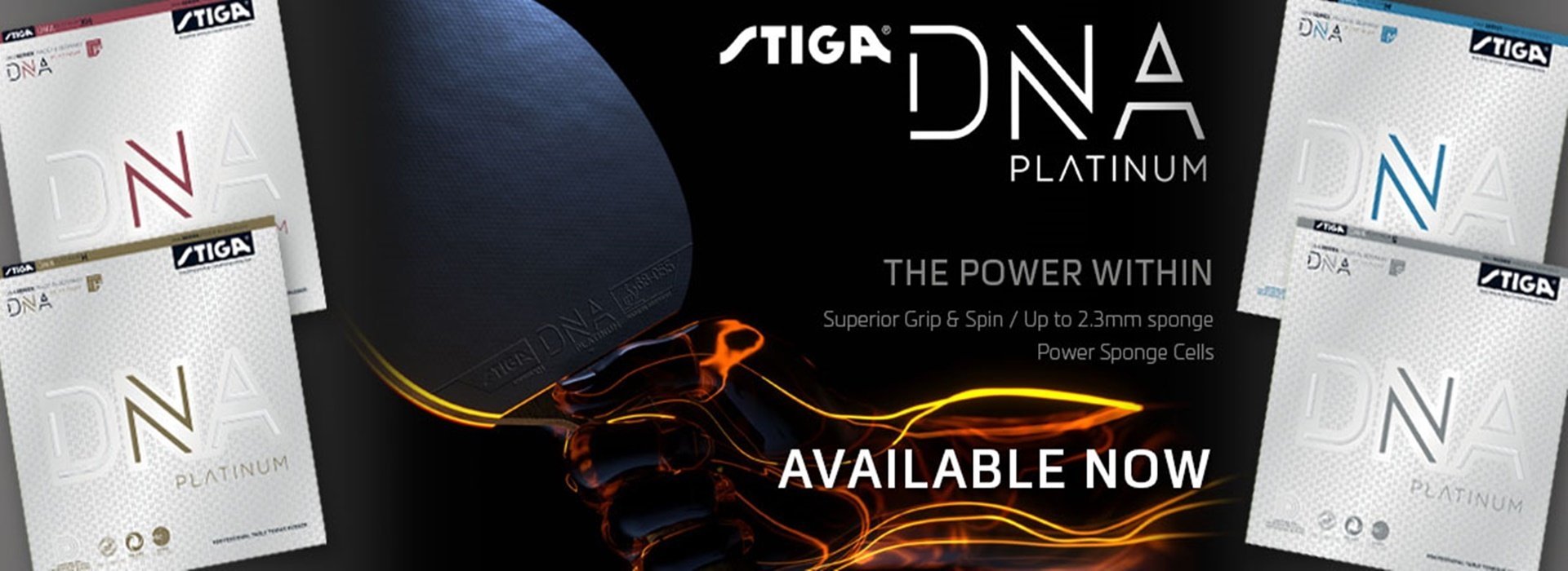 Stiga Table Tennis